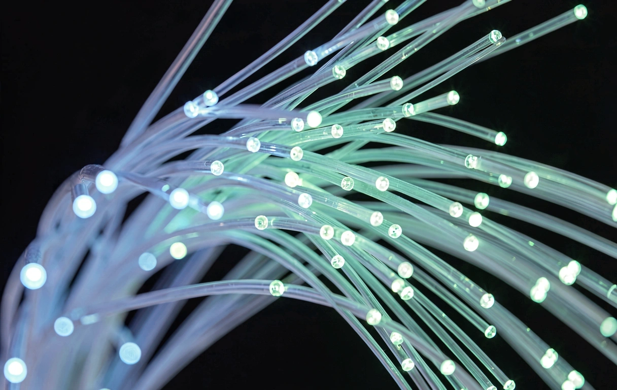 Gobernanza y Conectividad